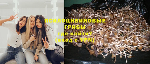 дурь Беломорск
