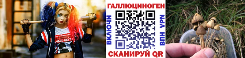 Псилоцибиновые грибы GOLDEN TEACHER  купить наркотики сайты  Вяземский 